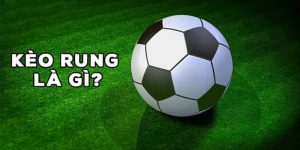 Kèo Rung Là Gì? Hướng Dẫn Chơi Và Gợi Ý Tip Soi Kèo Cực Hay  7 kèo rung là gì