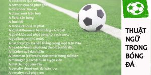Thuật Ngữ Cá Độ Bóng Đá - Top 10 Khái Niệm Quan Trọng Cần Biết 3 Các thuật ngữ cá độ bóng đá quan trọng khác